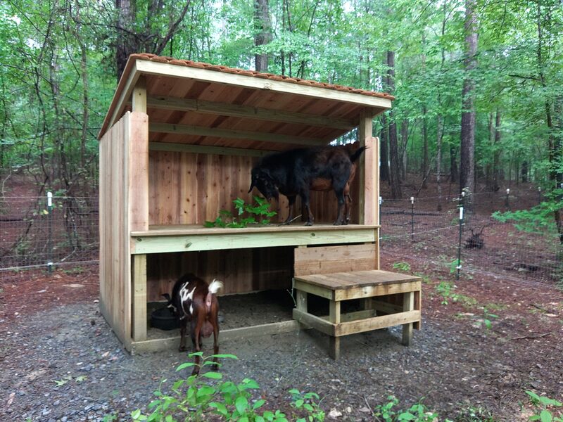 Goat shelter at Lucky 13 Farm